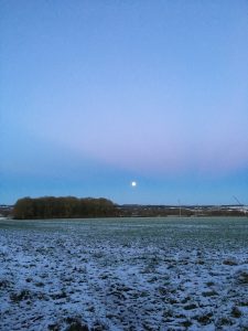 Snowy morning at Manor Farm