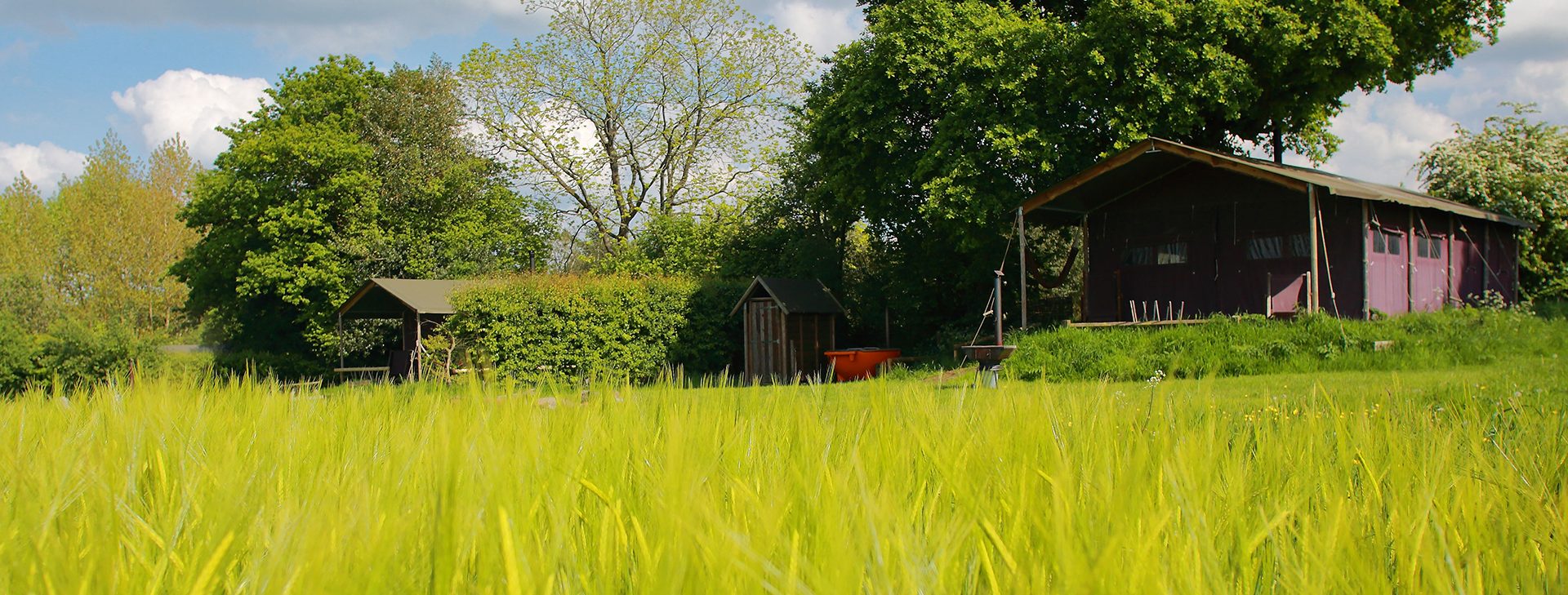 Glamping at Manor Farm