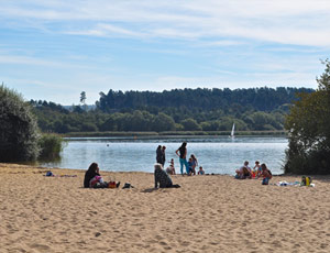 Wild inland beach close by at Frensham Ponds